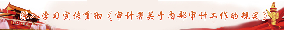 审计署关于内部审计工作的规定