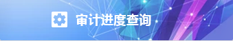 审计进度查询